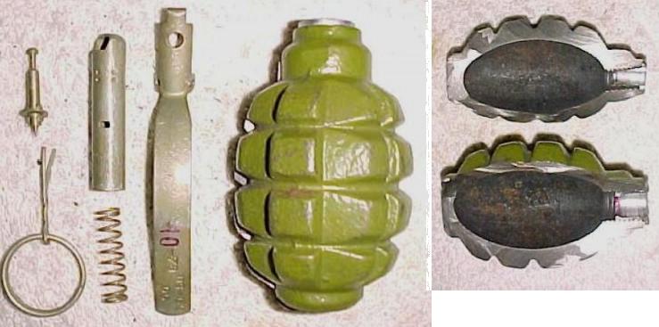 E. German F1 Frag Grenade in Section